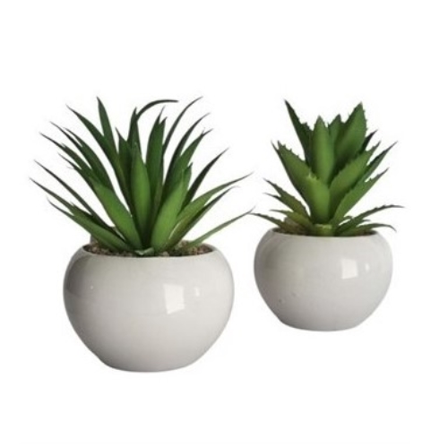 [83194] MACETA SUCULENTA  14CM CERAMICA