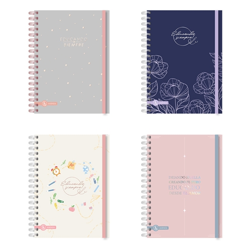 AGENDA 2027 RY DOCENTE GRIS/AZUL/ROSA C/ELASTICO 15X21CM 8039