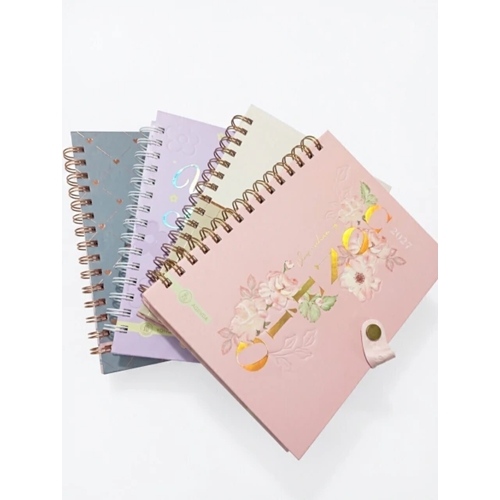 AGENDA 2027 RY MOTIVACION  2 DIAS X PAG VERDE/ROSA/LILA C/BOTON 15X21CM 8001