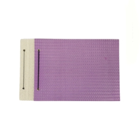 [78724] CARPETA CON CORDON REXON N°5 PVC CON BRILLO (20173)