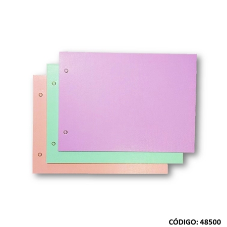 [L65591] CARPETA CON CORDON REXON N°5 PVC COLOR (ZD5P4 20107)