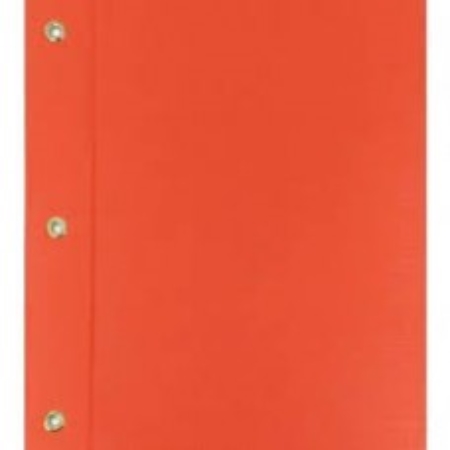 [L65590] CARPETA CON CORDON REXON N°3 PVC COLOR (20106)