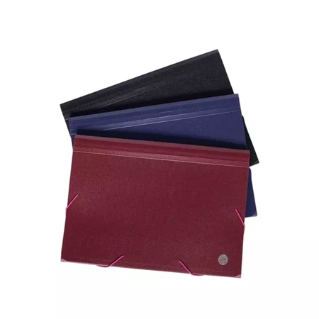[309049-2] CARPETA ORGANIZADOR FW A4 (328)