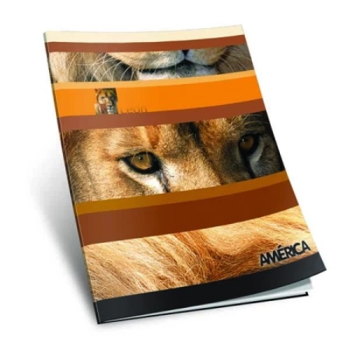 [306070-1] CUADERNO AMERICA 24 HOJAS FLEXIBLE CUADRICULADO