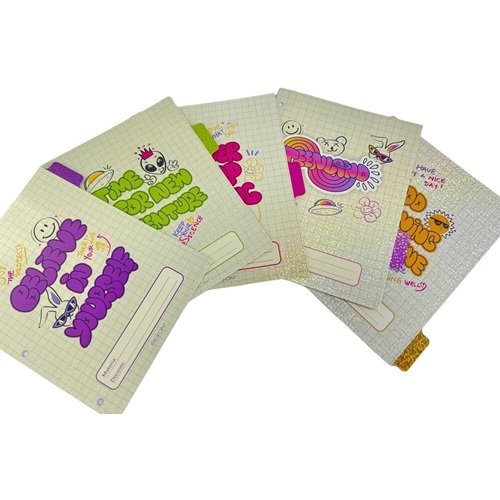 SEPARADOR REXON TEENLAND N°3 CON VENTANITA 5 UNID.