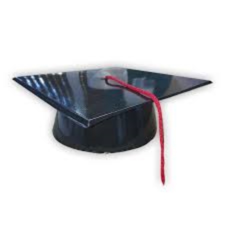 [C0105010] SOMBRERO EGRESADO HERRERA PLASTICO