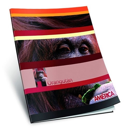 CUADERNO AMERICA 16X21 CM 48 HOJAS LISO 63 G/M2